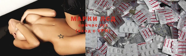 шишки Абаза