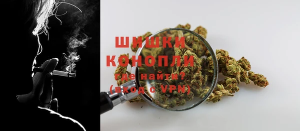 шишки Абаза