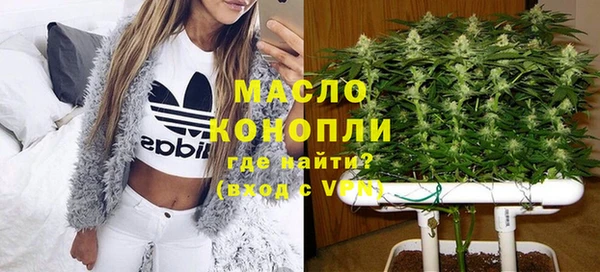 СК Алексин
