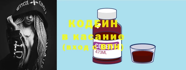 шишки Абаза