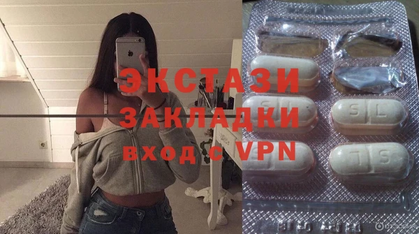 шишки Абаза