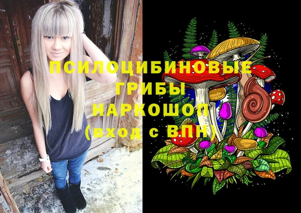 шишки Абаза