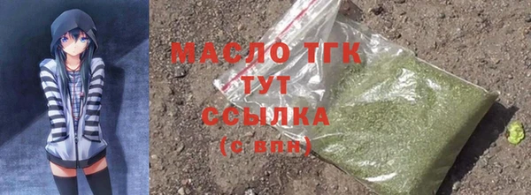 шишки Абаза