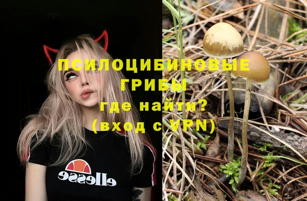 шишки Абаза