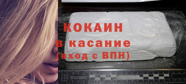 шишки Абаза