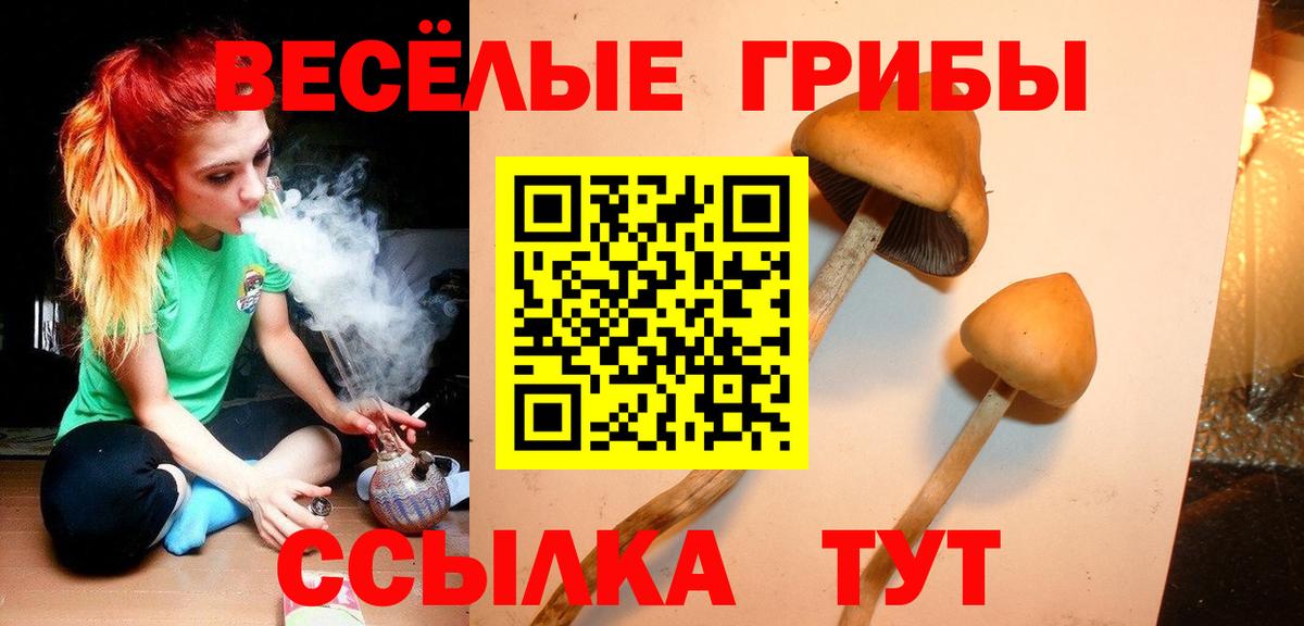 Кокаин  Кингисепп  Марихуана  Вход с VPN  ЭКСТАЗИ  Гашиш  Мефедрон   МЕТ 